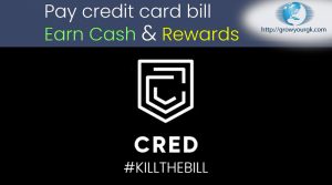 cred mobile app feature and benefits